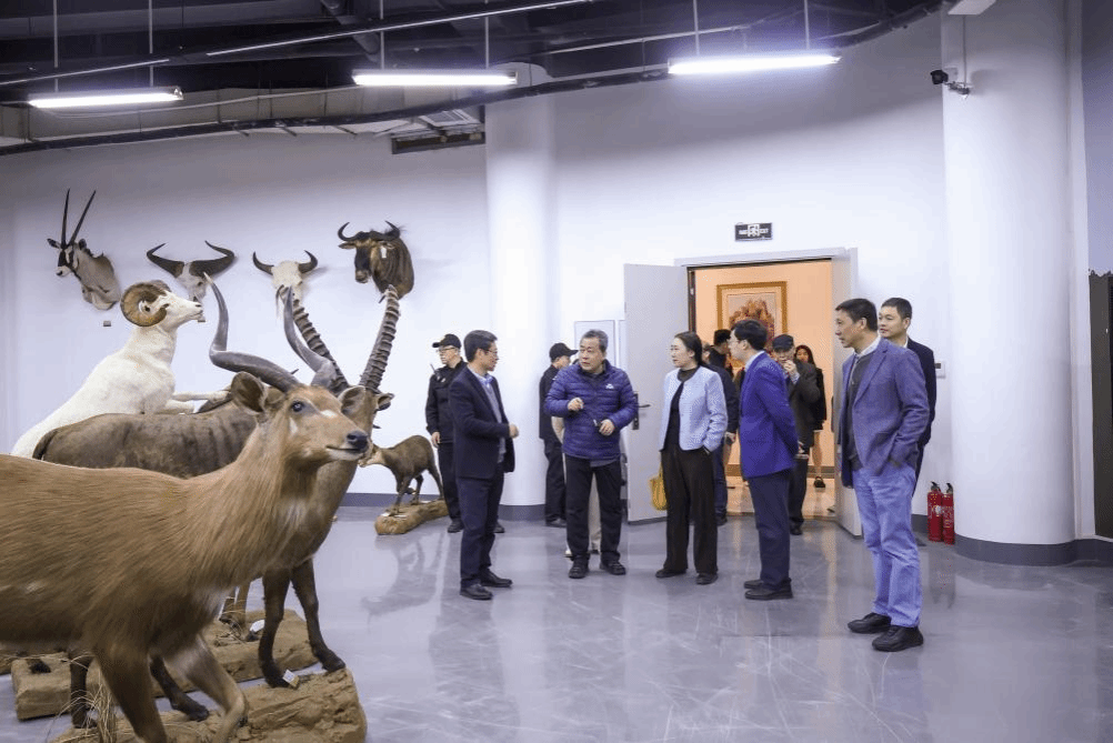 ͼƬ19.png ͼƬ19.png