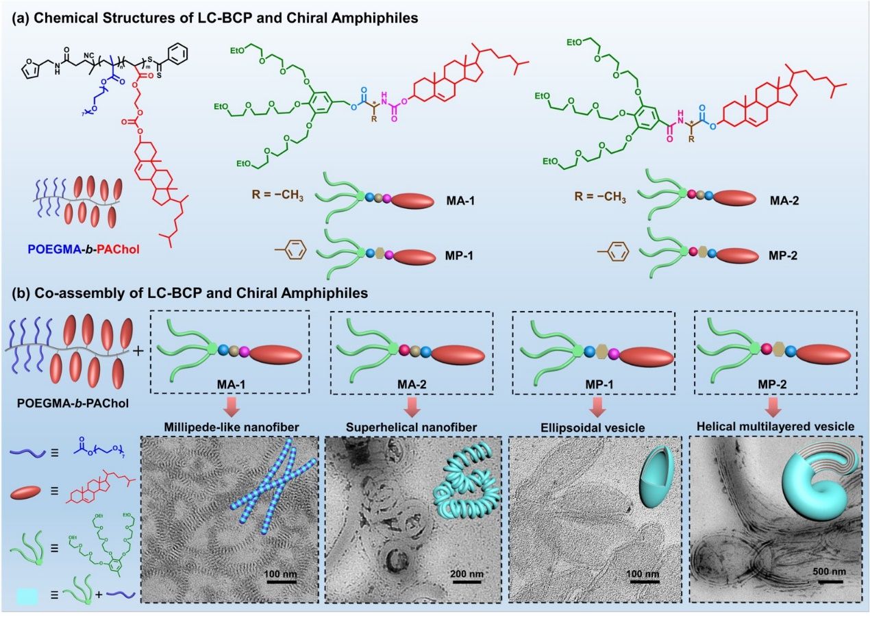 B131569129D174010FB688ED25F_61FD0C87_322D8 B131569129D174010FB688ED25F_61FD0C87_322D8