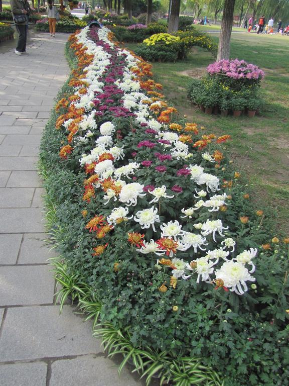 ��ҳ- �±�GG���Ŵ�����ҵƽ̨