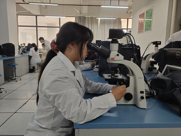 813CA9E1D3E17E483F5A84F837C_5AD9384F_C2E2