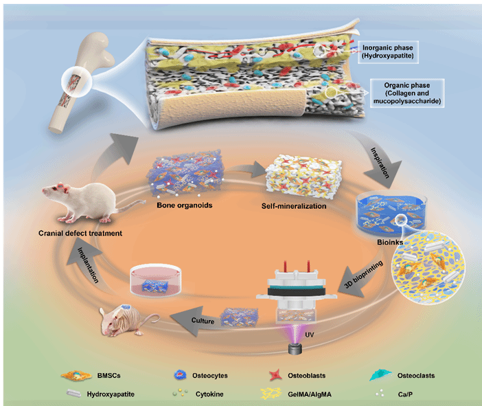 ��ҳ- �±�GG���Ŵ�����ҵƽ̨