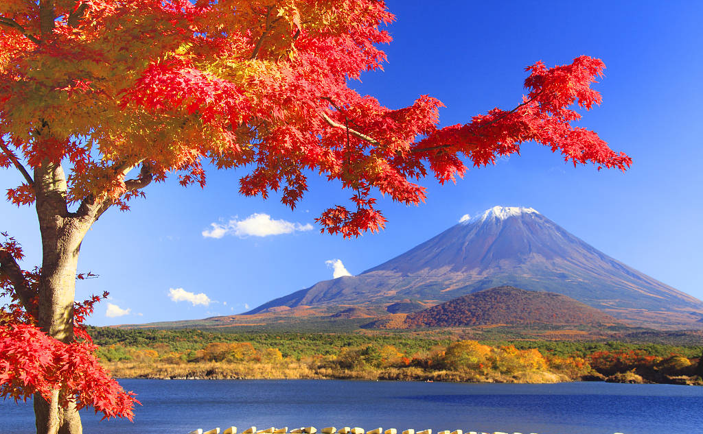 ��ҳ- �±�GG���Ŵ�����ҵƽ̨