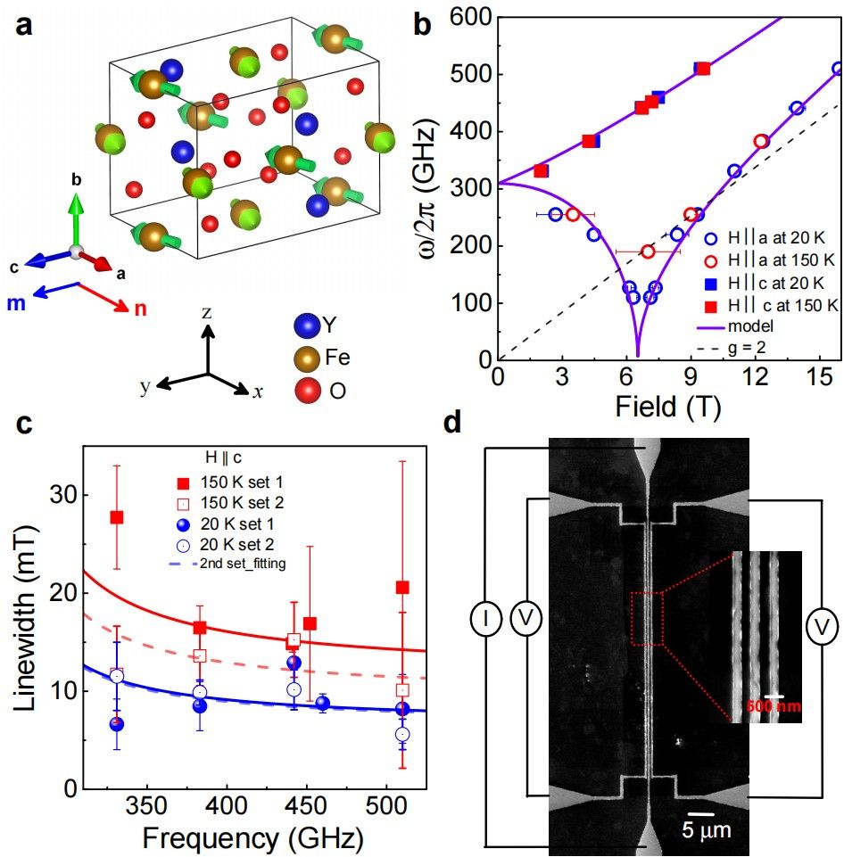 6CC0B992513A5E70E4D1E067D9B_3547BF21_208D6
