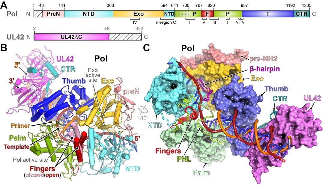 26AC7D56F39820897697FBDF20D_5287AEE5_257D5 26AC7D56F39820897697FBDF20D_5287AEE5_257D5