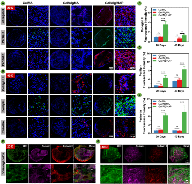 ��ҳ- �±�GG���Ŵ�����ҵƽ̨