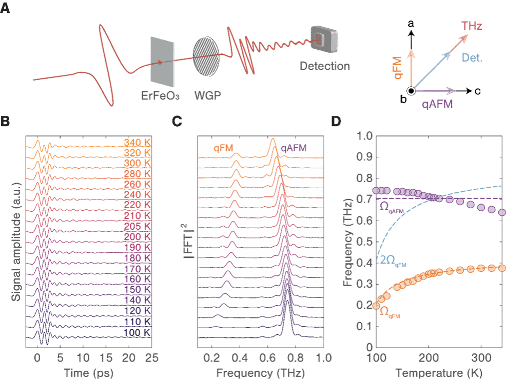 6E850F241D1D64BCDC56055C5F1_9D69EBD2_13746 6E850F241D1D64BCDC56055C5F1_9D69EBD2_13746
