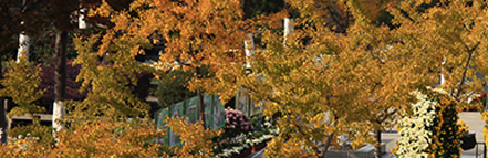 ��ҳ- �±�GG���Ŵ�����ҵƽ̨